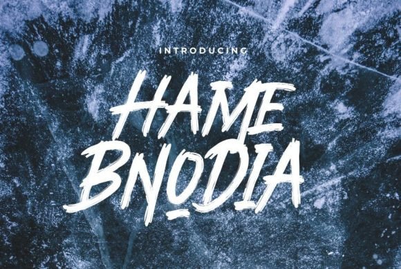 Font Choice That Speaks Volumes: Hame Bnodia in Action