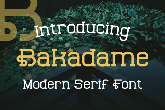Font Choice That Stands Out: Bakadame for Campaigns
