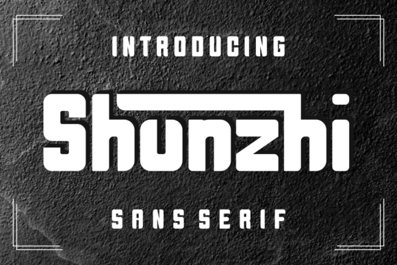 Shunzhi: The Font That Elevates Your Digital Brand