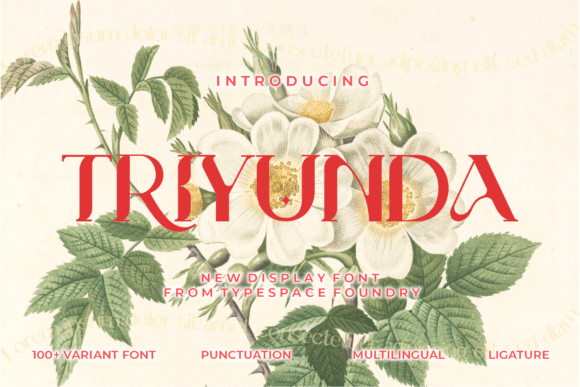 Triyunda: A Font for Elegant Editorial Expression